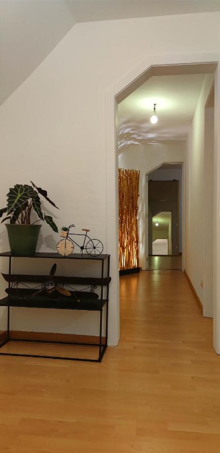 Appartement Berendries 贝拉克尔 外观 照片